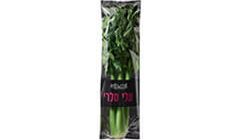 סלרי עלים