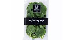 תרד ניו זילנדי