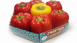 פלפלים אדומים למילוי
