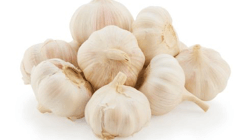 שום יבש יבוא תפזורת