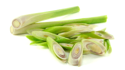 למון גראס
