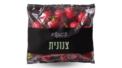 צנונית
