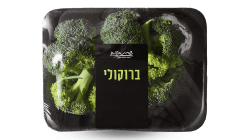 ברוקולי