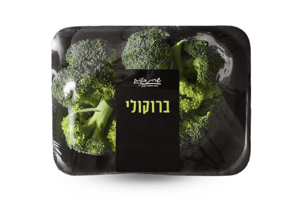 ברוקולי