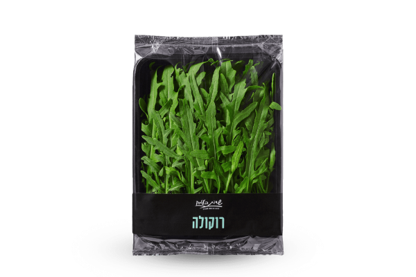 רוקולה/ רוקט