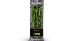 רוזמרין