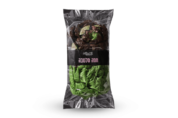 חסה סלנובה
