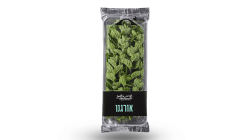 אורגנו