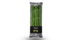 עירית
