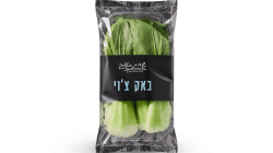 פקצ'וי