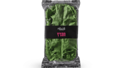 חמציץ