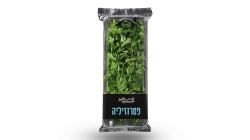 פטרוזיליה