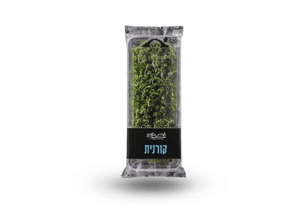 מהדרין קורנית/טימין