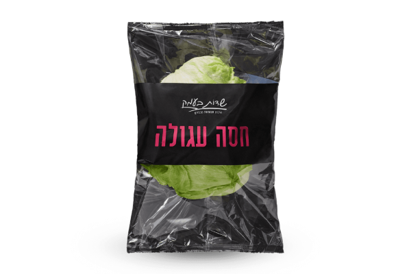 חסה אייסברג