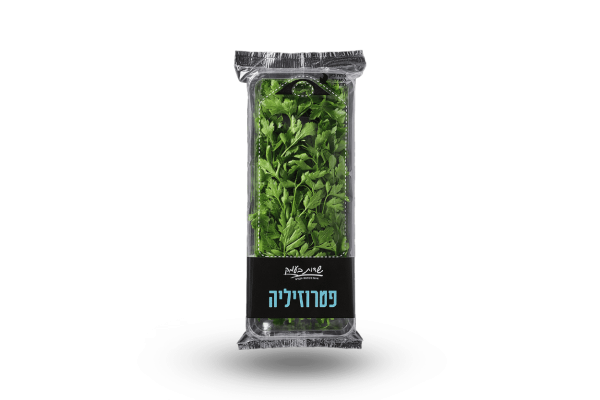 פטרוזיליה