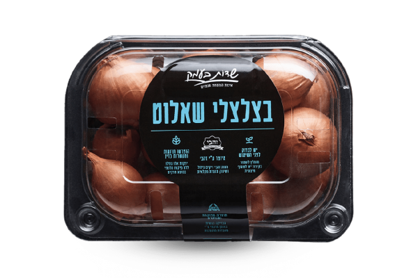 בצלצלי שאלוט