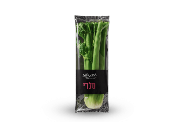 סלרי אמריקאי