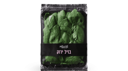 בזיליקום
