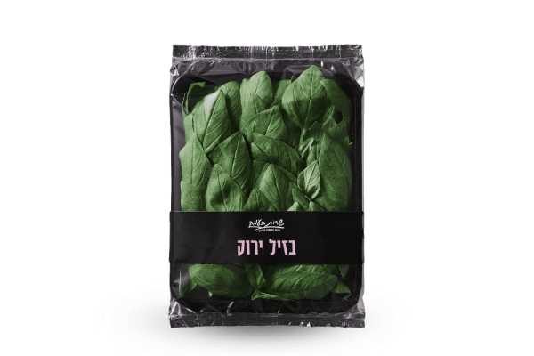 בזיליקום