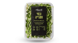 נבטי חמניה