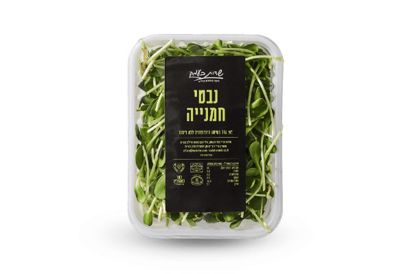 נבטי חמניה
