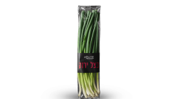 בצל ירוק