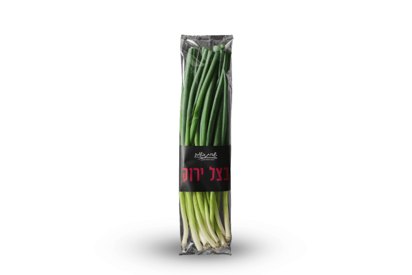 בצל ירוק
