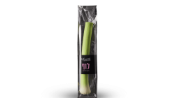 לוף / כרישה