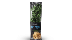 שורש סלרי