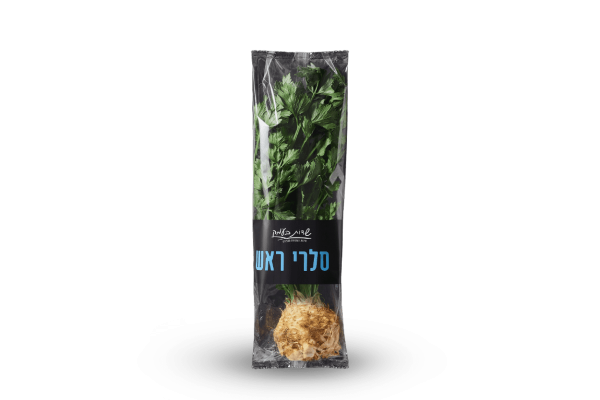 שורש סלרי