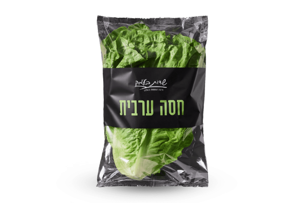 חסה ערבית