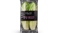 לבבות קיסר
