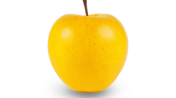 תפוח זהוב