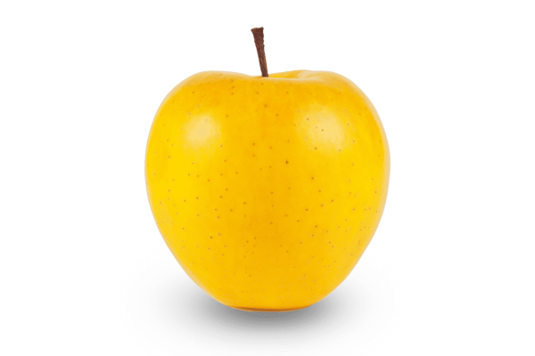 תפוח זהוב