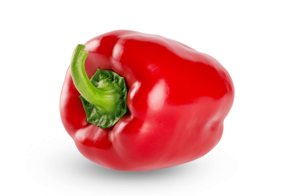 פלפל אדום