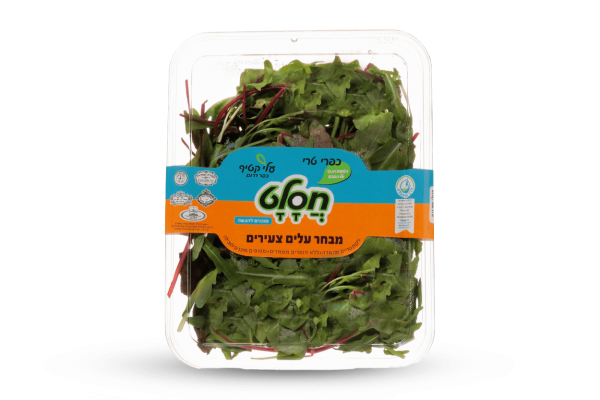 מהדרין עלי בייבי