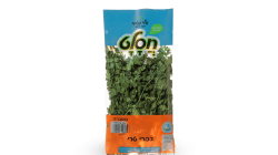 מהדרין כוסברה