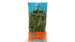 מהדרין פטרוזיליה