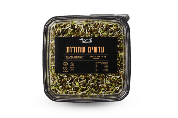נבטי עדשים שחורות