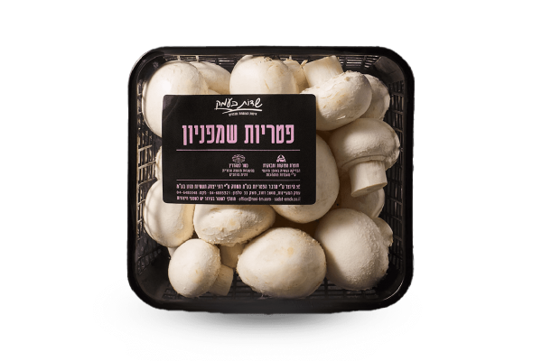 פטריות שמפיניון
