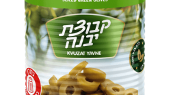 זיתים ירוקים טבעות  יבנה