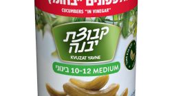 מלפפון בחומץ בינוני